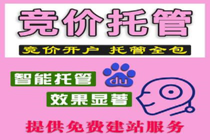 百度竞价代运营的长期效益与价值探讨